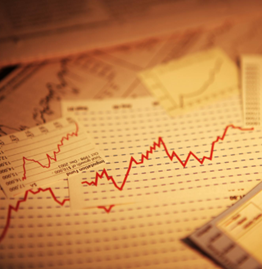 Investment advice with solutions Icon